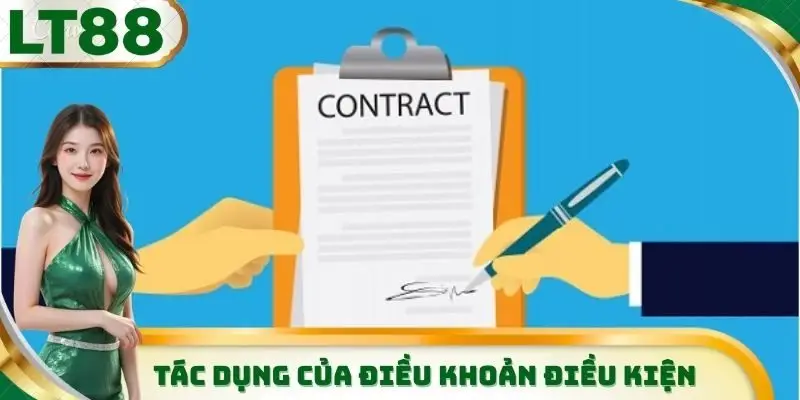 Lý do tại sao LT88 xây dựng các điều khoản điều kiện
